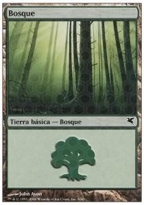 Forest Card Front