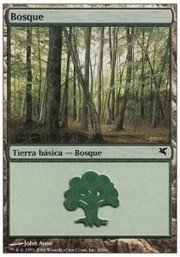 Forest · 02-10 02-10