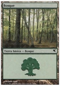 Forest Card Front