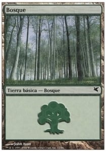 Forest Card Front