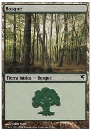 Forest · 02-21 02-21
