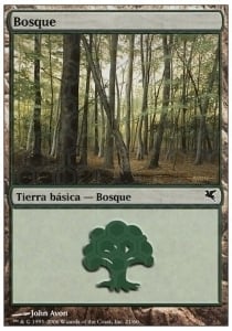 Forest Card Front
