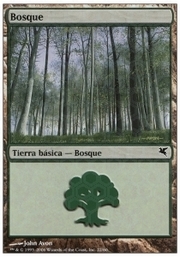 Forest · 02-22 02-22