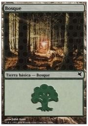 Forest · 02-23 02-23