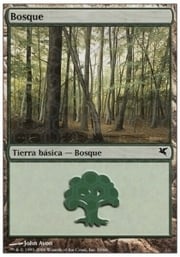 Forest · 02-33 02-33