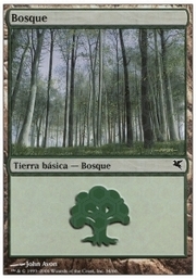 Forest · 02-34 02-34