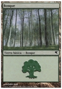 Forest Card Front