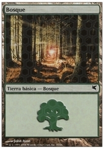 Forest Card Front