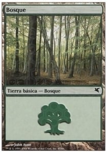 Forest Card Front
