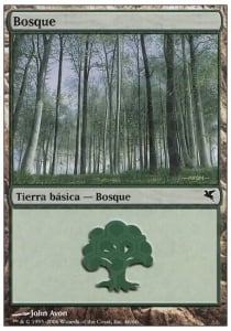Forest Card Front