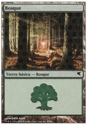 Forest · 02-47 02-47