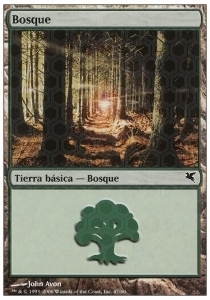 Forest Card Front