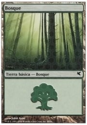 Forest · 02-48 02-48