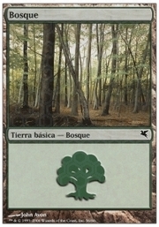 Forest · 02-56 02-56