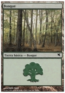 Forest Card Front