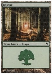 Forest · 02-58 02-58
