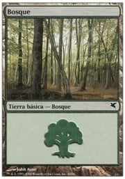 Forest · 02-60 02-60