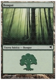 Forest · 04-12 04-12