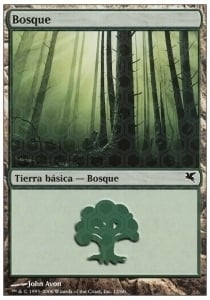 Forest Card Front