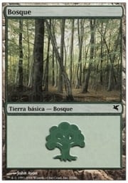Forest · 04-23 04-23
