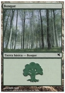 Forest Card Front