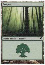 Forest · 04-59 04-59
