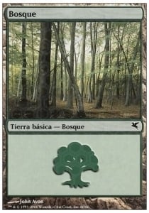 Forest Card Front
