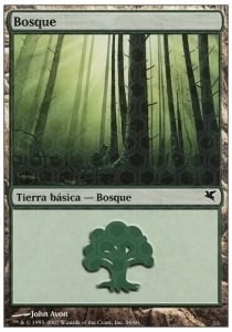 Forest Card Front