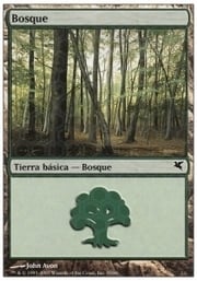 Forest · 09-35 09-35