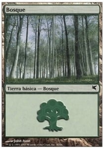 Forest Card Front