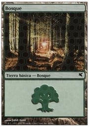 Forest · 09-46 09-46