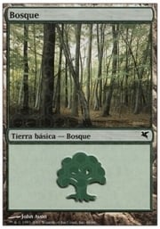 Forest · 09-48 09-48