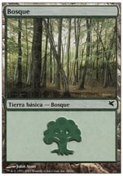 Forest · 09-58 09-58