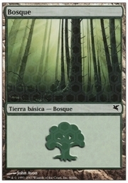 Forest · 09-60 09-60