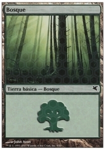 Forest Card Front