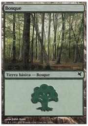 Forest · 10-10 10-10