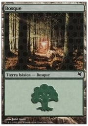 Forest · 10-21 10-21