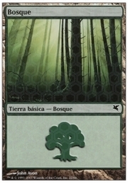 Forest · 10-22 10-22