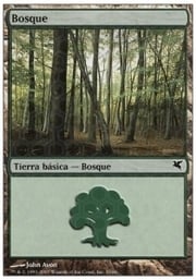 Forest · 10-33 10-33