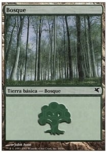 Forest Card Front