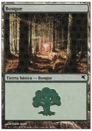 Forest · 10-44 10-44
