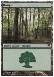 Forest · 10-46 10-46