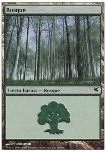 Forest Card Front