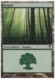 Forest · 10-58 10-58