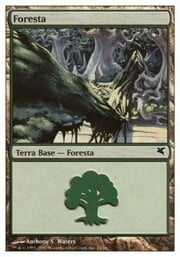 Forest · 24 024