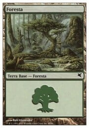 Forest · 48 048
