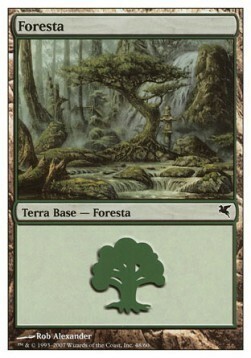 Forest Card Front