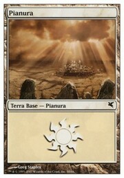 Plains · 58 058