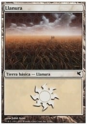 Plains · 10-11 10-11
