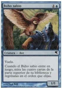 Sage Owl Card Front